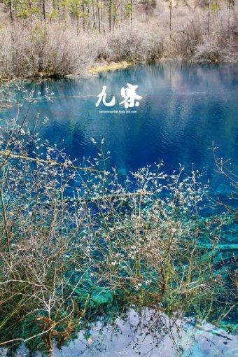 狂热火车