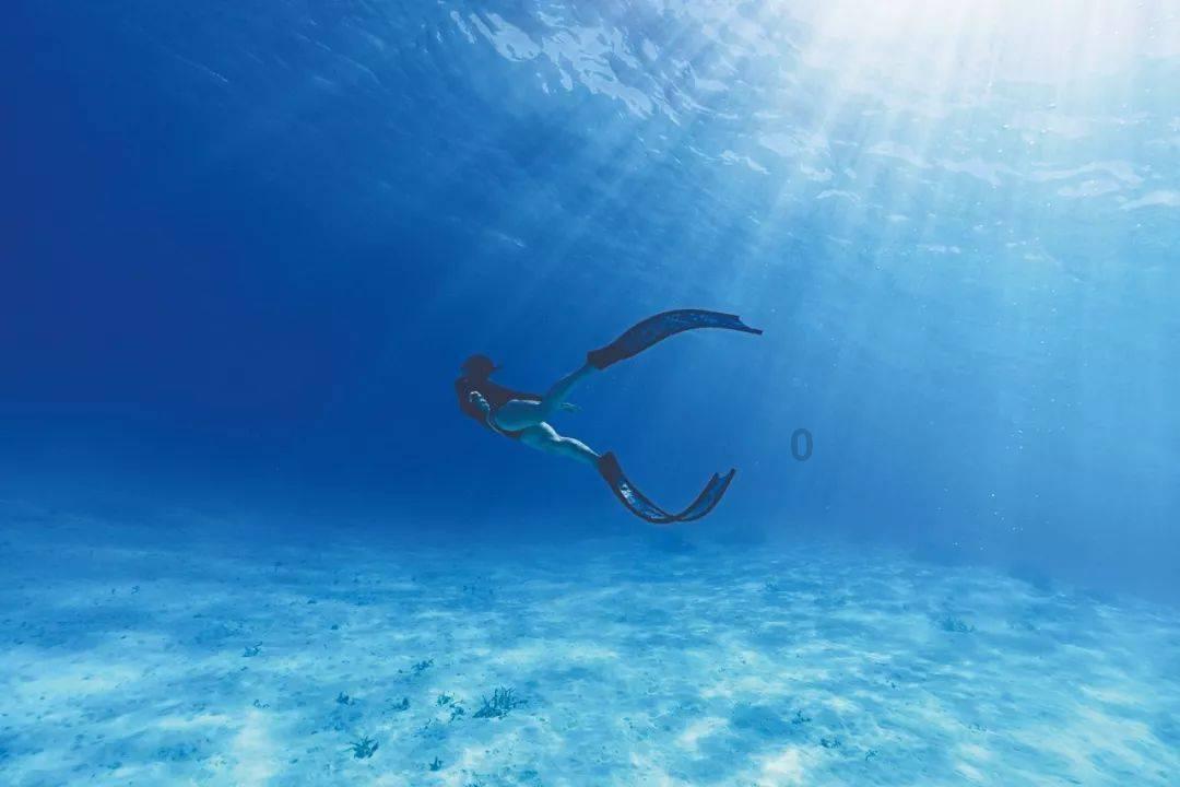 救援鹦鹉