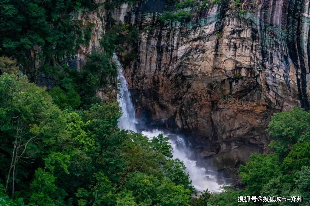 这幅草书只有41个字,拍卖价格却超过3个亿,作者身份家喻户晓